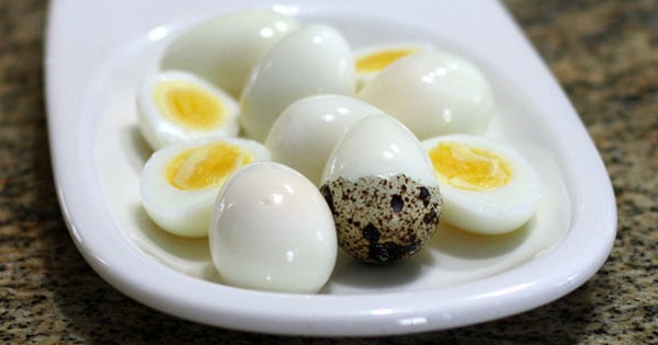 Bổ dưỡng gấp 3-4 lần so với trứng gà, món trứng cút có nhiều lợi ích cho sức khỏe và sắc đẹp, nhưng 3 nhóm người tốt nhất không nên ăn