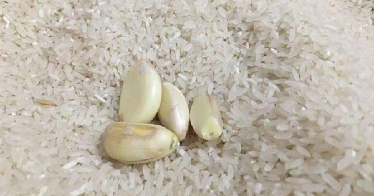 Mùa dịch gạo để lâu trong thùng sinh mối mọt, dạy bạn 1 mẹo để cả tháng vẫn trắng thơm