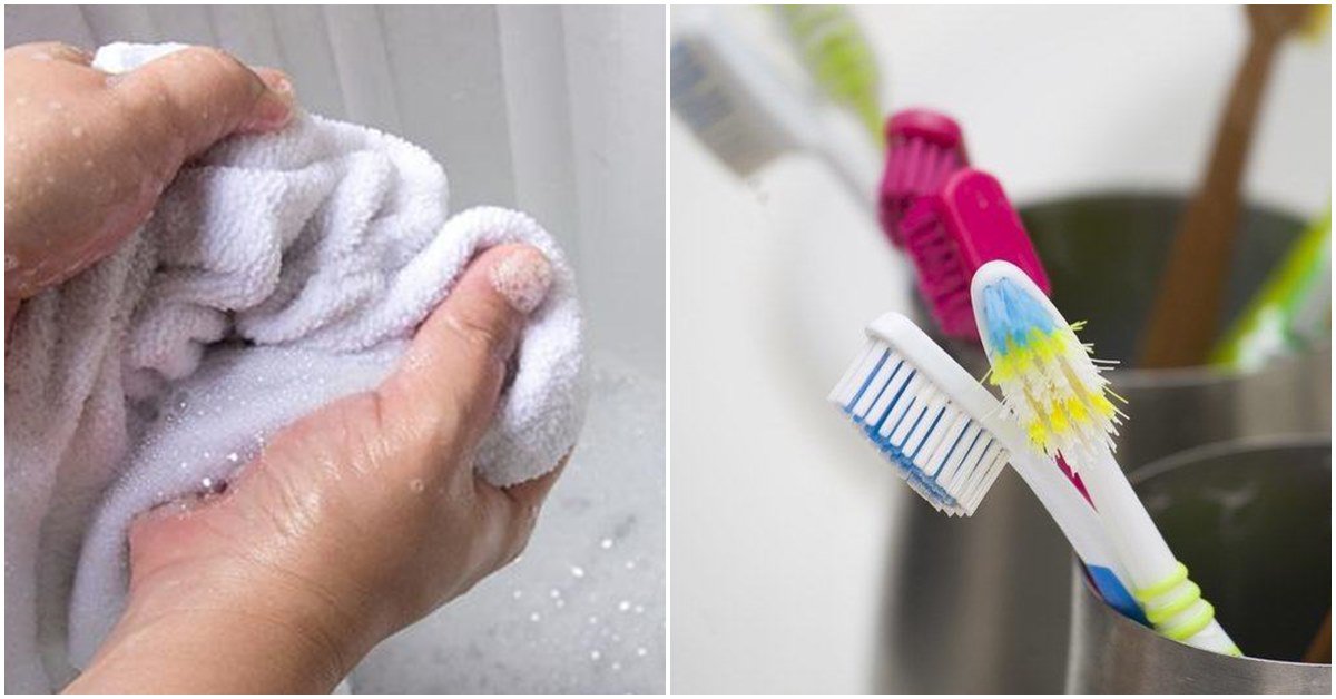 Những thứ trong nhà tắm tưởng sạch hóa ra bẩn hơn bồn cầu