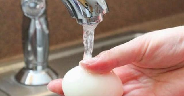 Vỏ trứng bị bẩn có nên rửa rồi mới cất? Nhiều người làm sai nên vi khuẩn xâm nhập