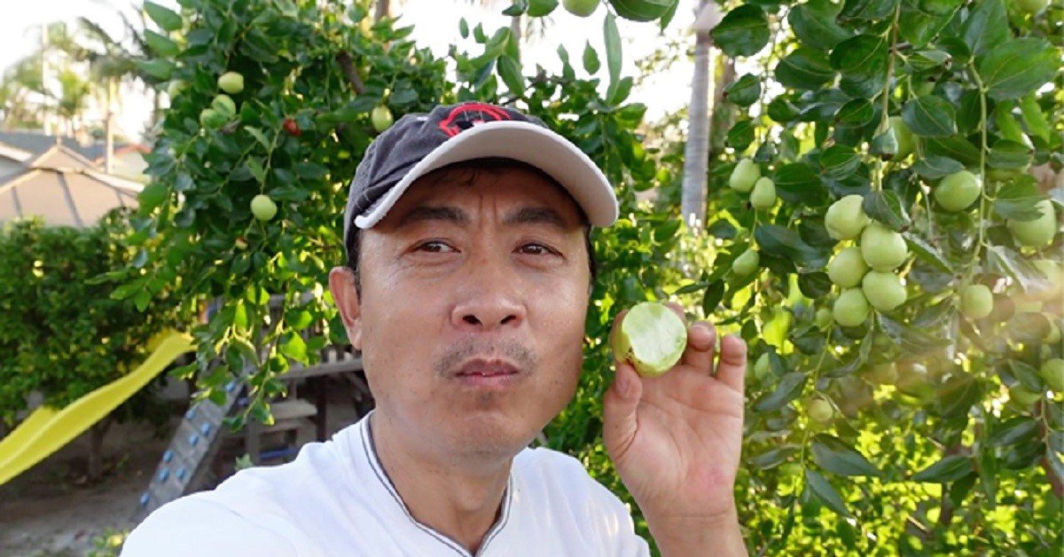 Danh hài Vân Sơn khoe vườn trái cây 1.200m2, quả rụng đỏ gốc ăn không hết