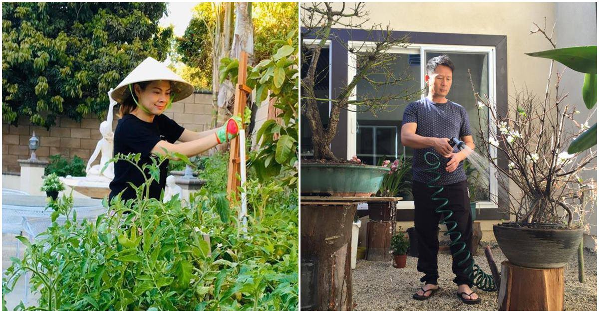 Sao Việt ở Mỹ có vườn rộng thênh thang: Bằng Kiều, Vân Sơn thỏa mãn đam mê cây cối