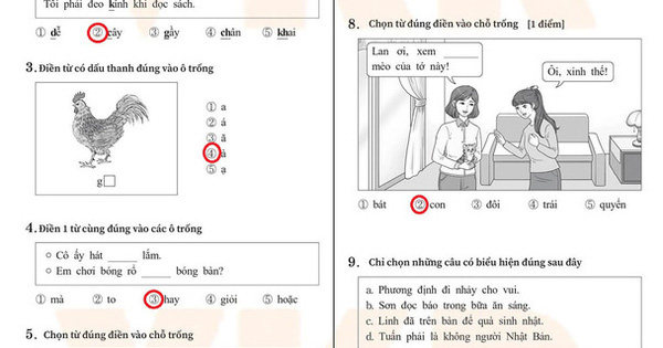 Đề thi môn tiếng Việt kỳ thi Đại học ở Hàn Quốc: 40 phút làm 30 câu khó không tưởng,  người Việt chưa chắc làm đúng hết