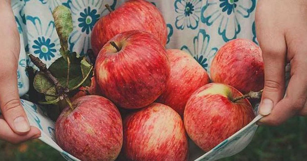 3 thời điểm ăn táo trong ngày có thể tăng hiệu quả giảm cân vượt trội mà không cần nhịn ăn