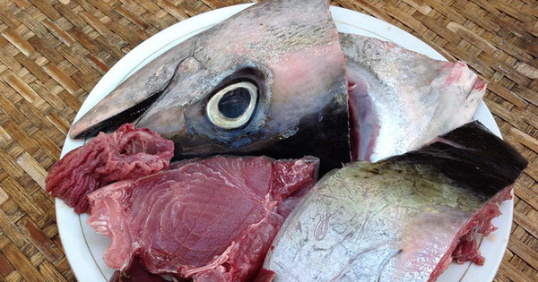 Cá có đầy chất dinh dưỡng nhưng 4 bộ phận này của cá thì nên vứt bỏ chứ đừng dại mà ăn