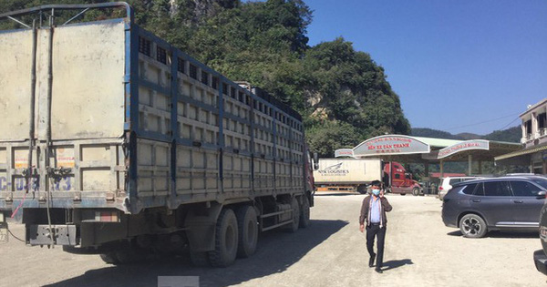 Lạng Sơn tạm dừng tiếp nhận xe chở hoa quả tươi đến cửa khẩu từ 17⁄1 đến Tết Nguyên đán
