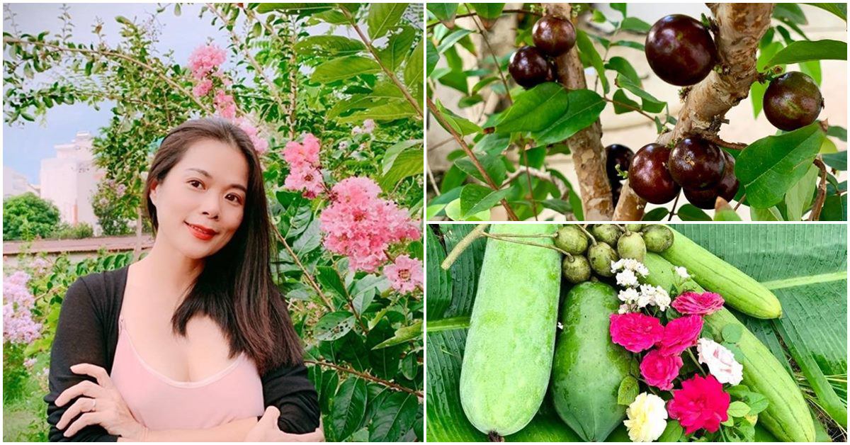 Về Việt Nam trồng toàn cây đắt giá, ca sĩ Mỹ Lệ thuê người làm không xuể việc trong vườn