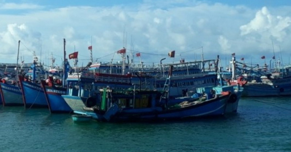 Tạm dừng hoạt động các tàu khách tuyến Phan Thiết - Phú Quý