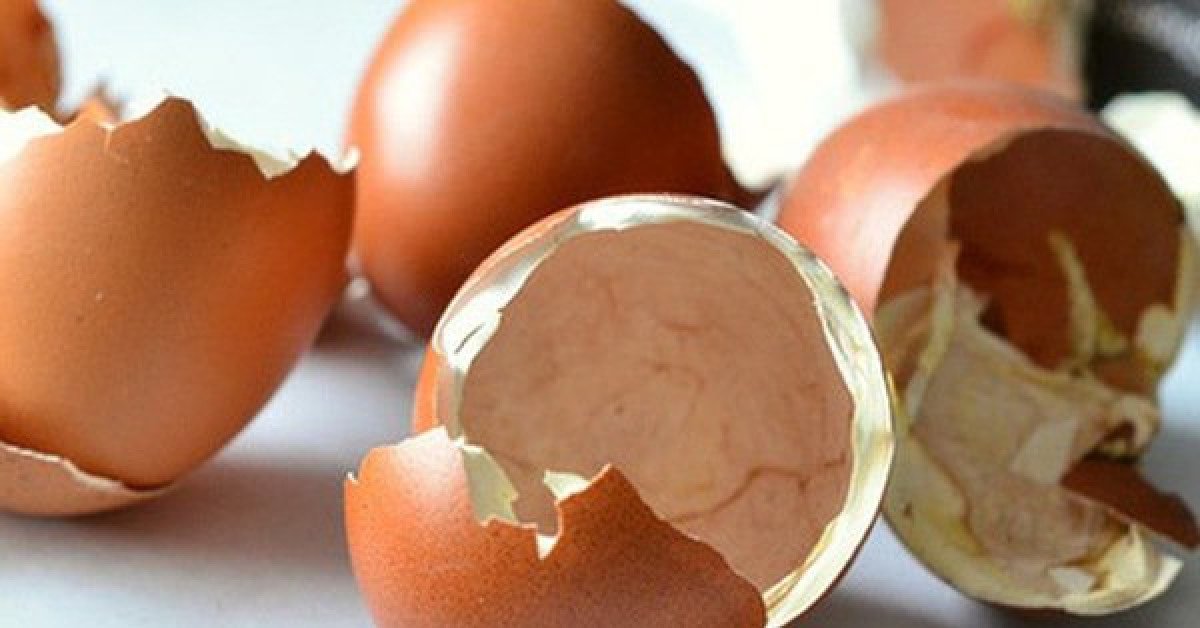 Biết được 5 công dụng này của vỏ trứng bạn sẽ không nỡ vứt chúng đi nữa