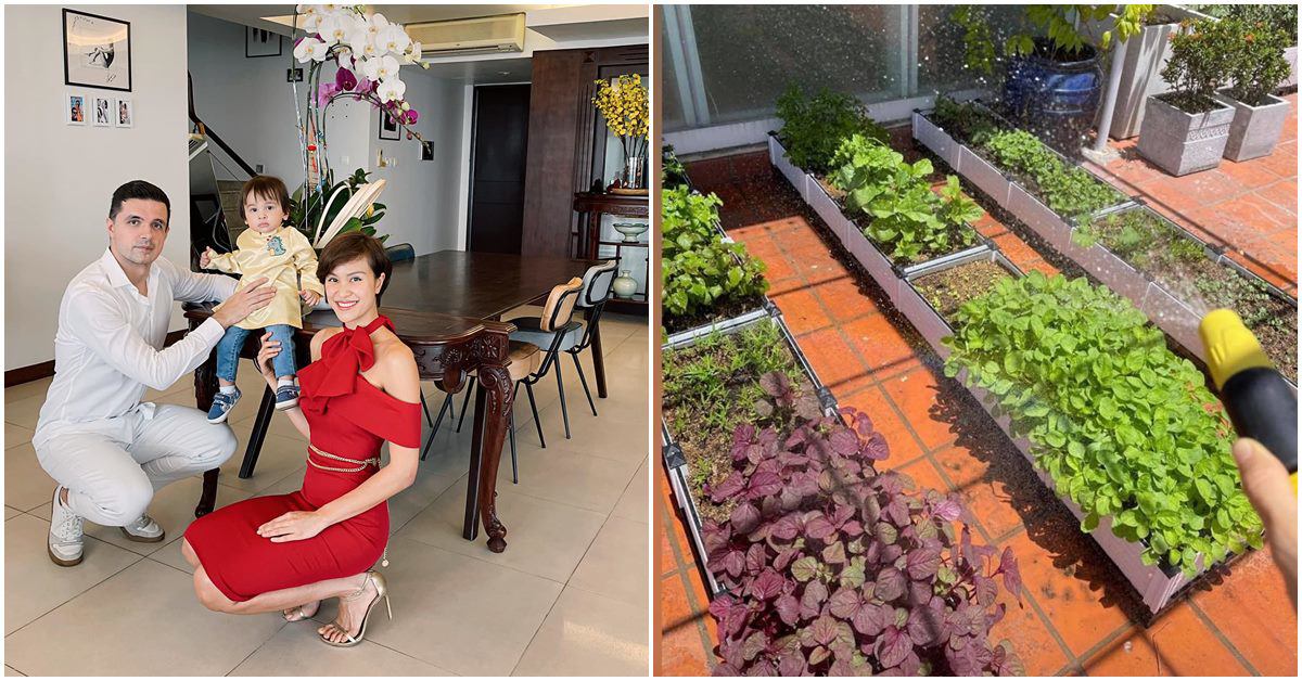 MC Phương Mai làm vườn trên sân thượng nhà 600m2, giãn cách ở nhà no đủ rau ăn