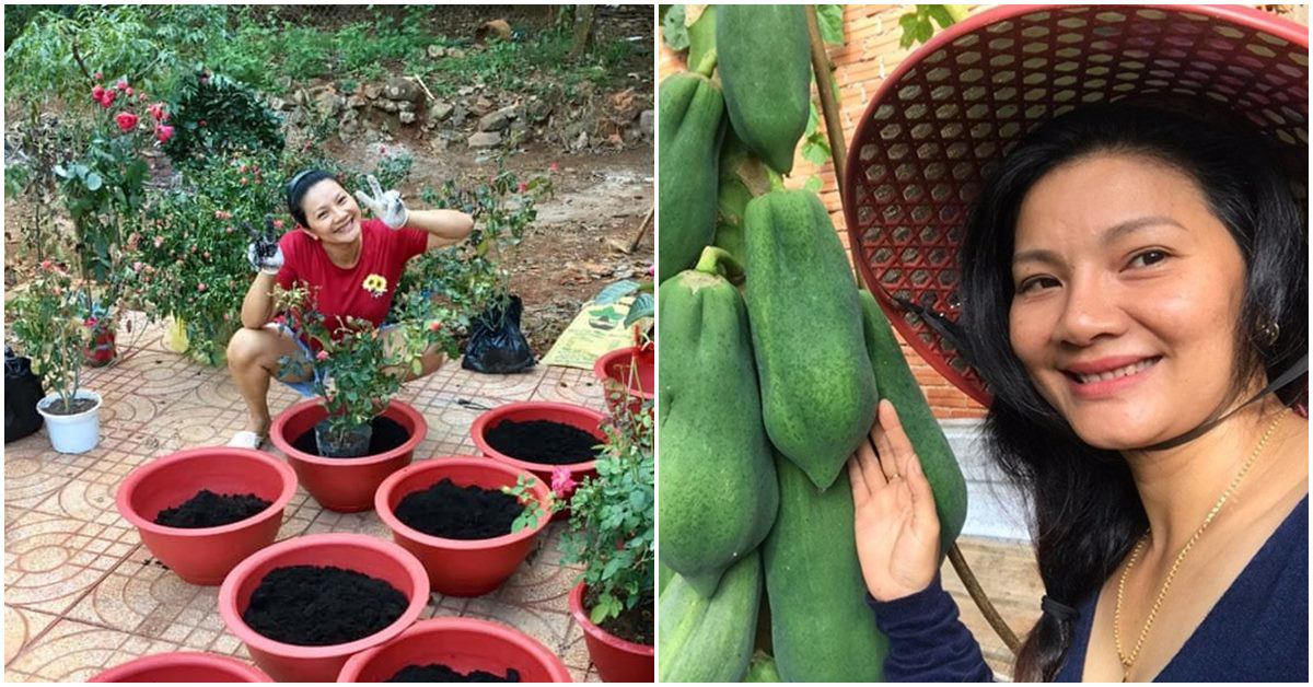 1 năm trốn phố về Bình Phước trồng rau, Kiều Trinh khoe vườn nhà trĩu quả
