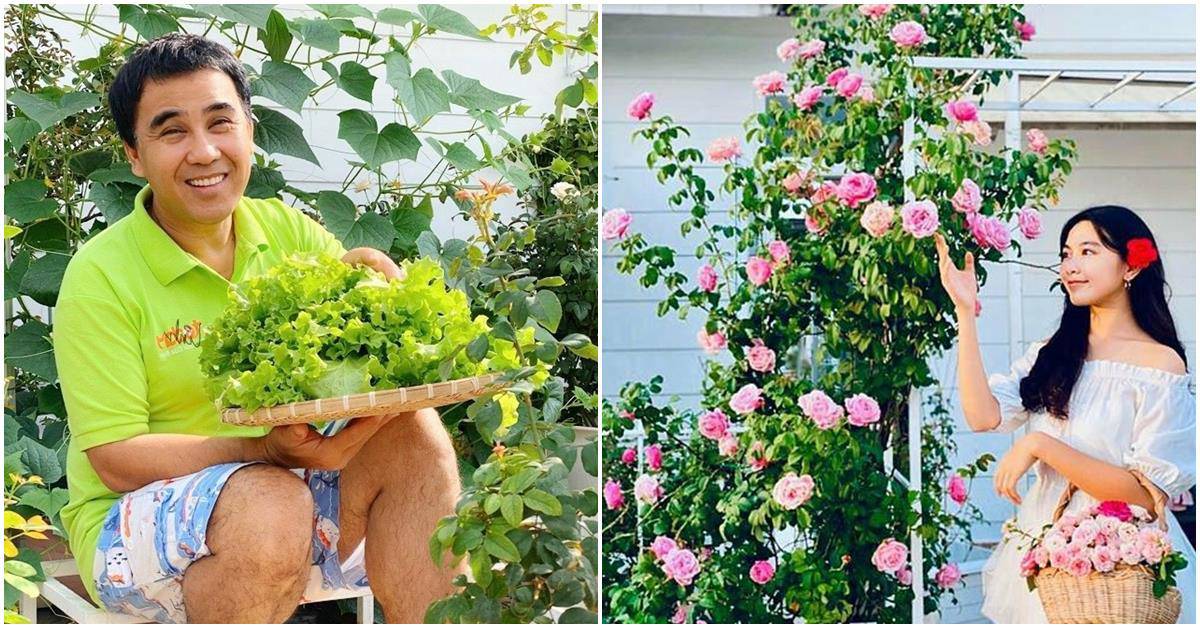 Sở hữu vườn hồng đắt giá, vợ Quyền Linh chỉ cách trồng cây sao cho hoa nở căng, ít bệnh