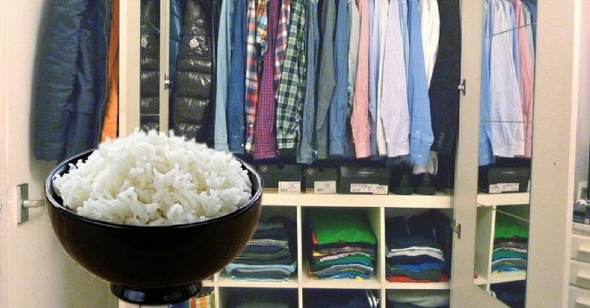 Nhìn hàng xóm đặt nửa bát gạo trong tủ quần áo, tôi hối hận vì không biết nó sớm hơn