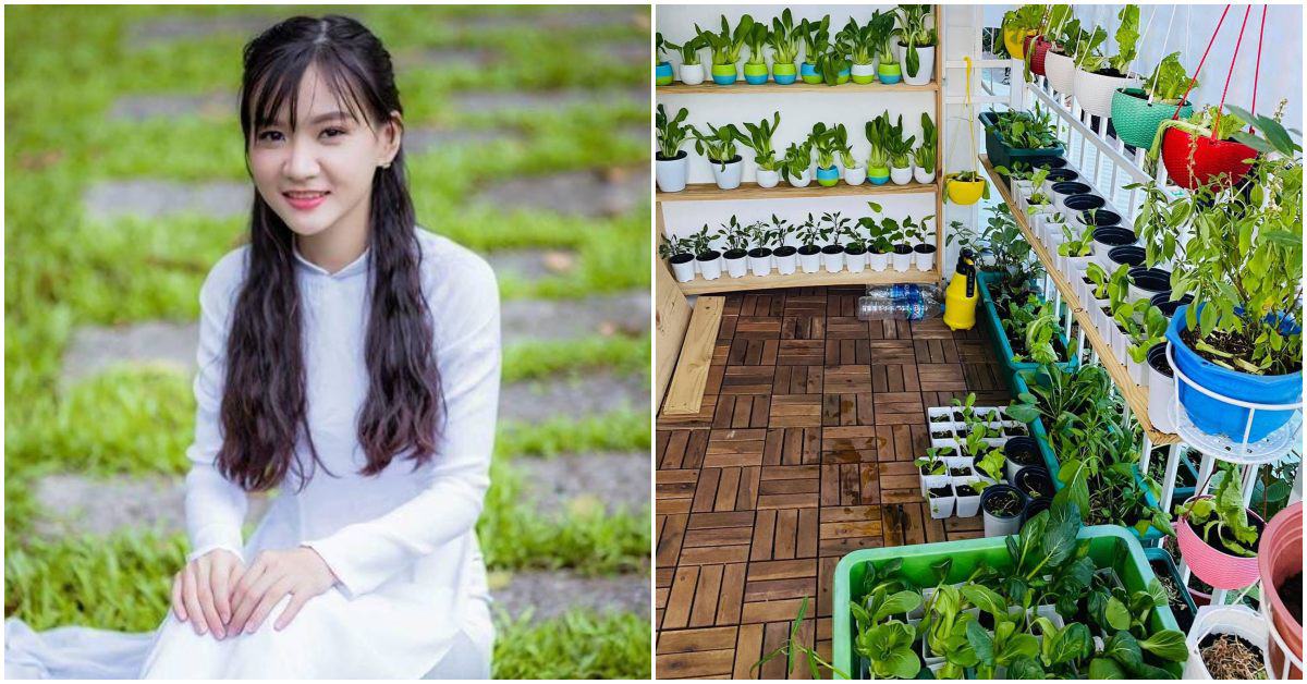 8X Sài Gòn biến 6m2 ban công thành vườn xanh mơn mởn, mùa dịch rau ra nhiều ăn không kịp
