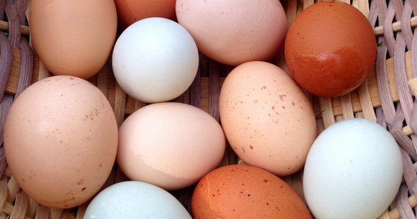 Trong thế giới trứng gà, nên mua loại nào tốt nhất: Không phải đắt tiền, đây mới là tiêu chí số 1