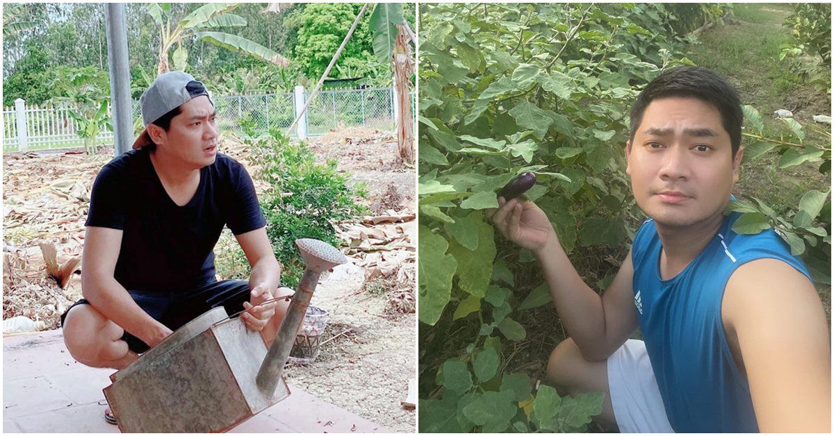 Về nghỉ dịch trong nhà vườn 2000m2, Minh Luân không sợ thiếu rau, thậm chí còn dư