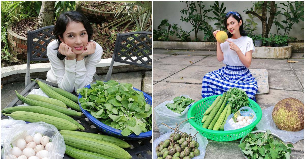 Nhà Celeb: Nhà vườn 2.500m2 của Việt Trinh sum xuê cây quả, trồng cả ngô, cà... toàn thứ dân dã