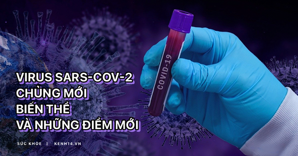 Virus SARS-CoV-2: Chủng mới, biến thể và những điểm mới