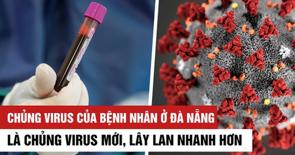 PGS.TS Huynh Wynn Tran: Chủng virus mới tại Việt Nam có thể là chủng D614G - hiện đang hoành hành ở châu Âu và Mỹ