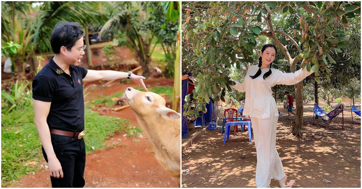 Sao Việt sở hữu những khu vườn tiền tỷ: Ngọc Sơn được tặng, Bằng Kiều có thú chơi đắt đỏ
