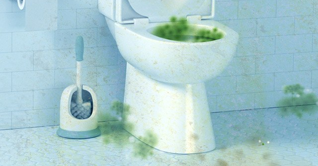 Một nhà tắm sạch không mùi hôi và sạch bóng vi khuẩn